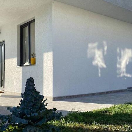 Lola Seaview Guest House. Уютный Домик В Варне Varna ภายนอก รูปภาพ