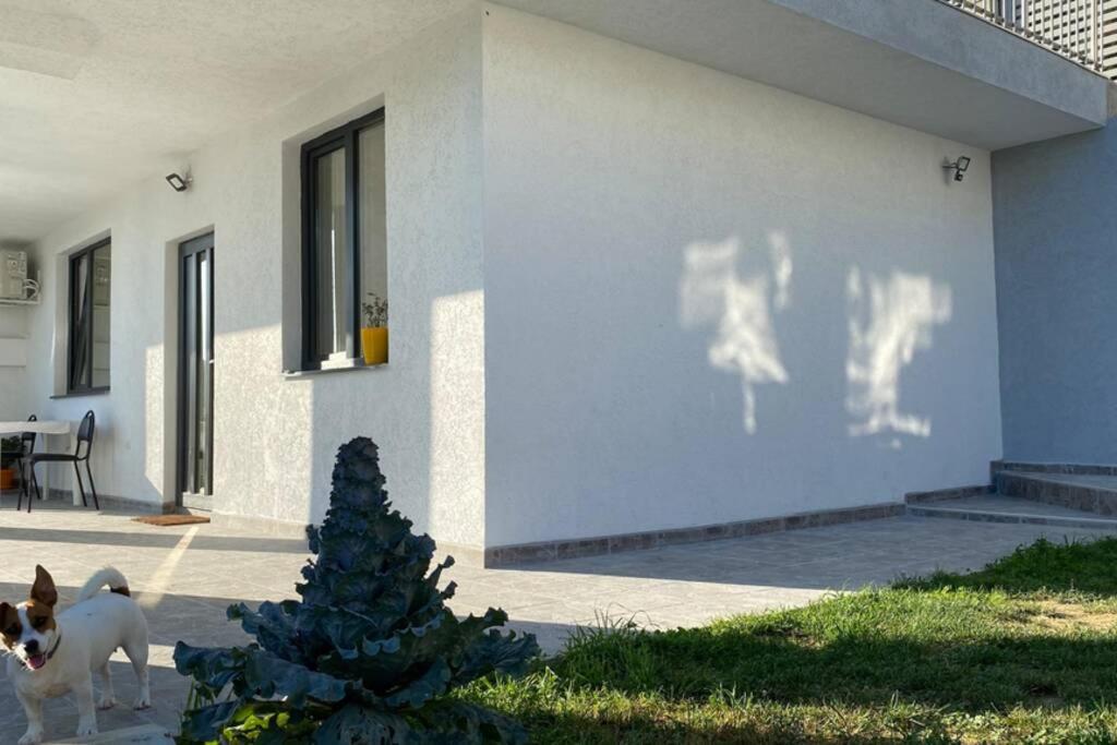 Lola Seaview Guest House. Уютный Домик В Варне Varna ภายนอก รูปภาพ