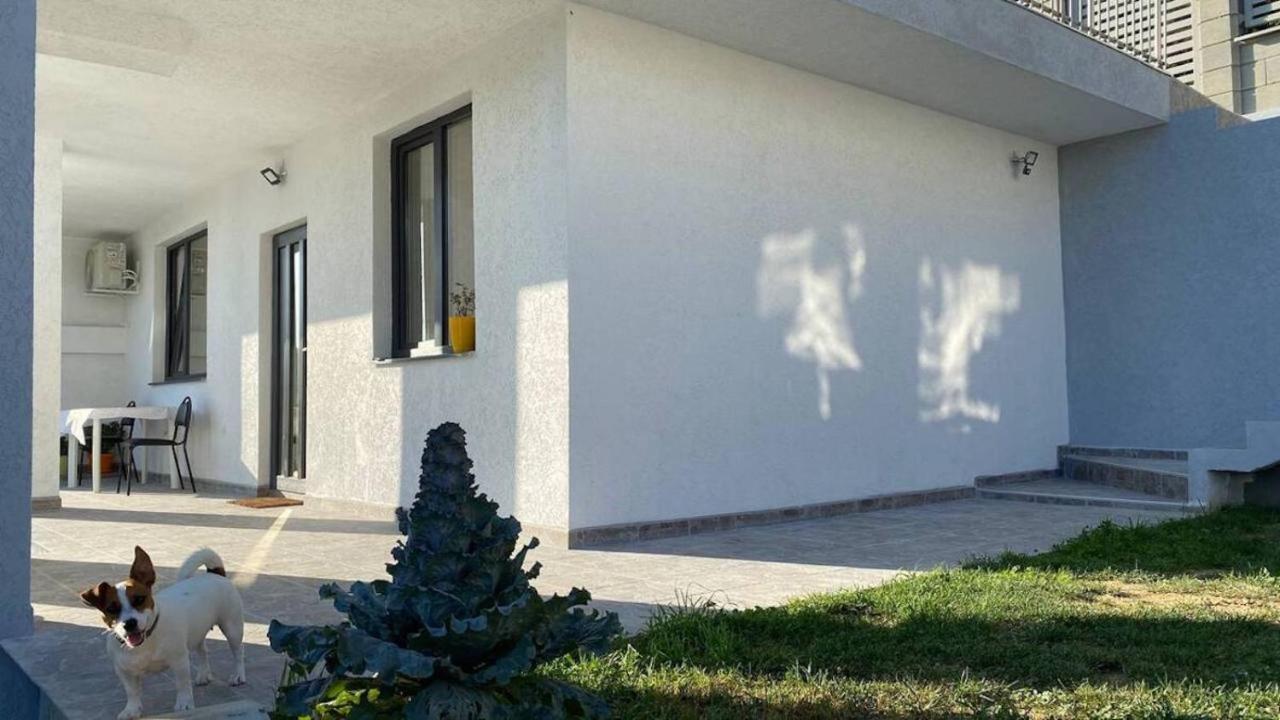 Lola Seaview Guest House. Уютный Домик В Варне Varna ภายนอก รูปภาพ